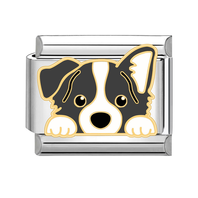 Charm Dog3