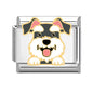 Charm Dog1