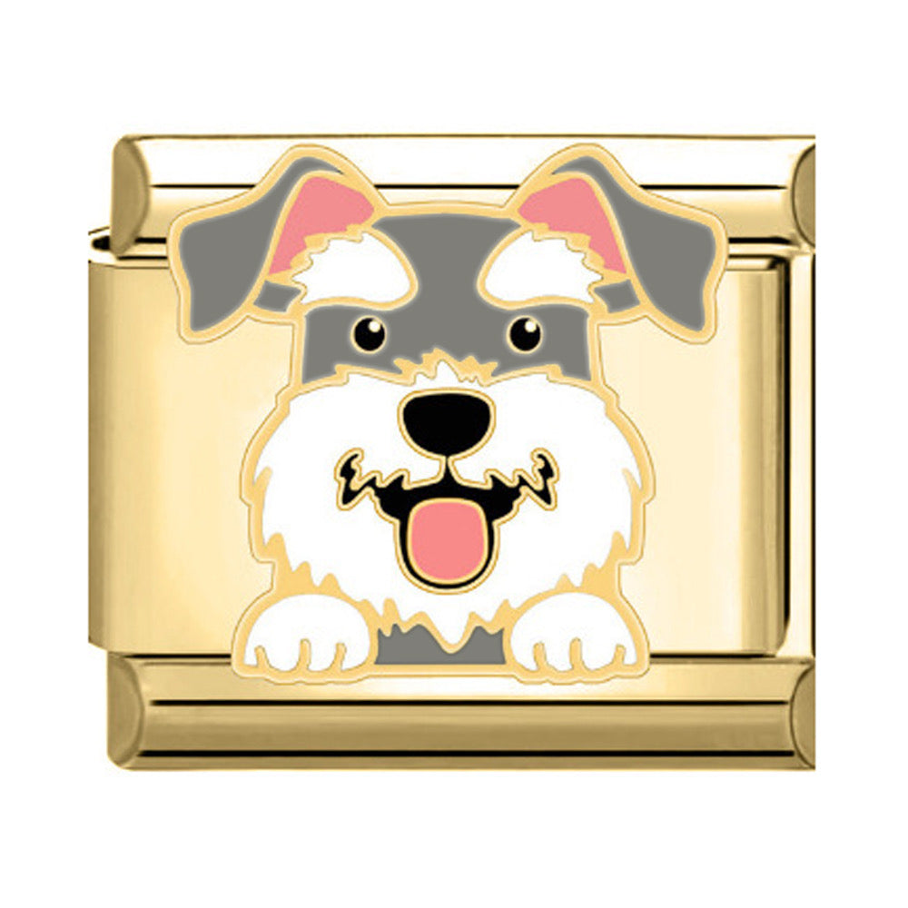 Charm Dog1
