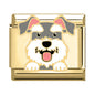 Charm Dog1