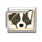 Charm Dog3
