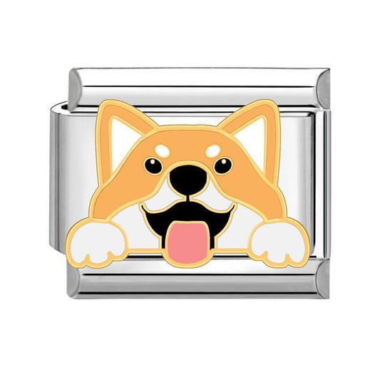 Charm Dog4
