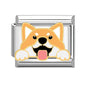 Charm Dog4
