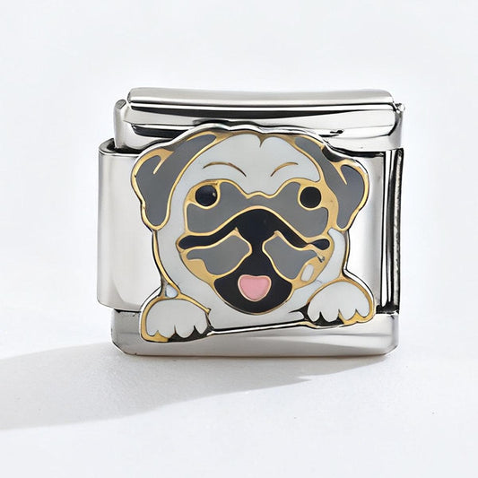 Charm Dog5