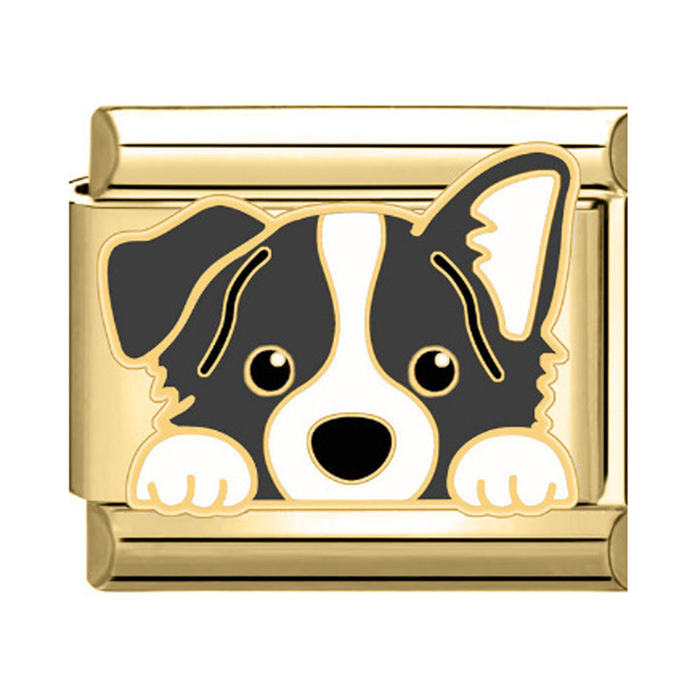 Charm Dog3