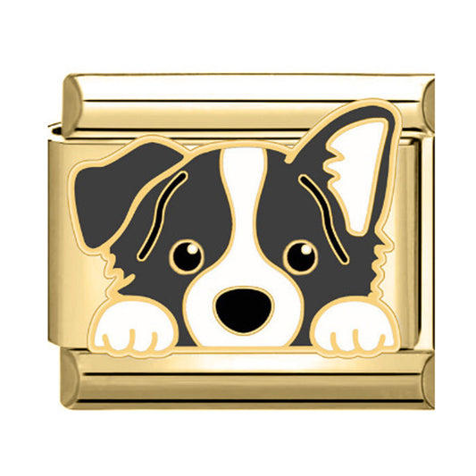 Charm Dog3