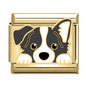 Charm Dog3